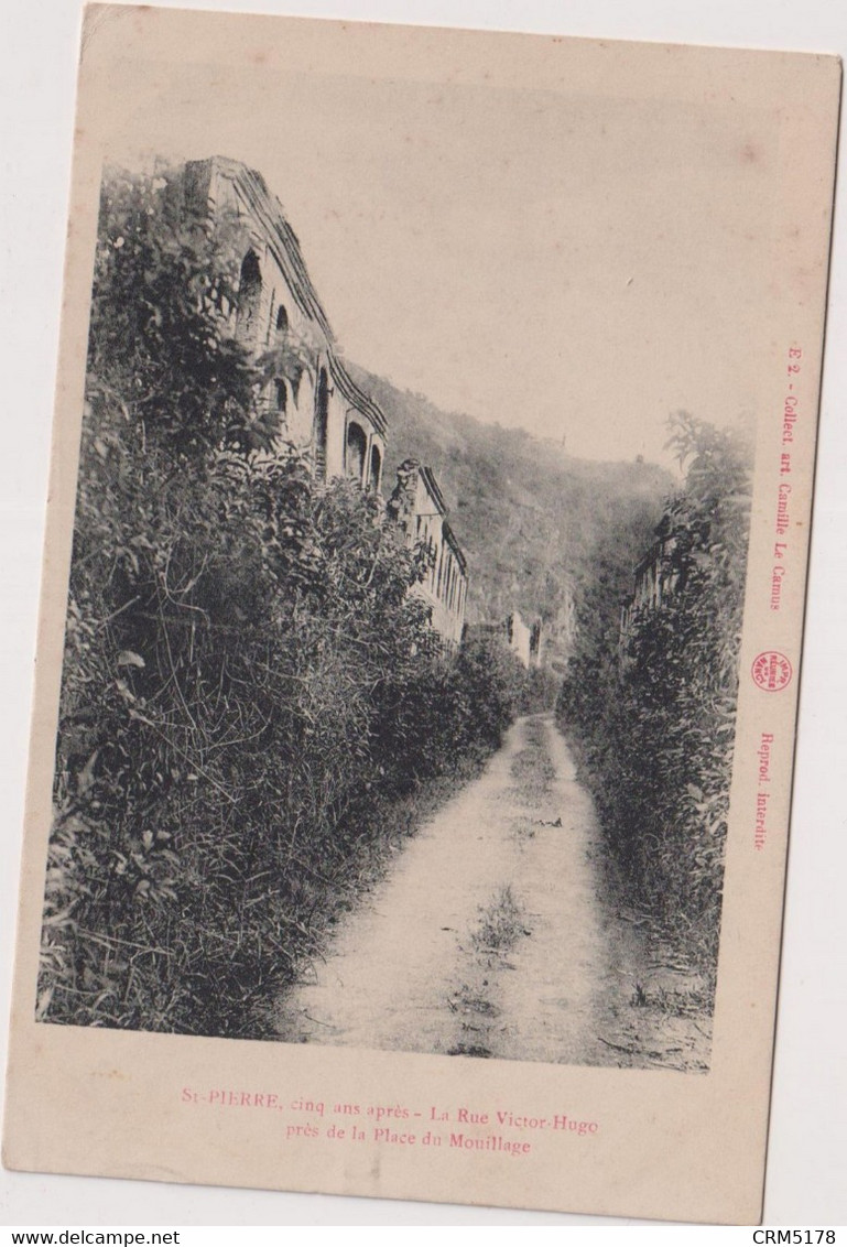 CPA-ST-PIERRE-RUE VICTOR-HUGO-ruines 5 Ans Après L'éruption Volcanique De 1902-chemin-brousailles - Saint Pierre