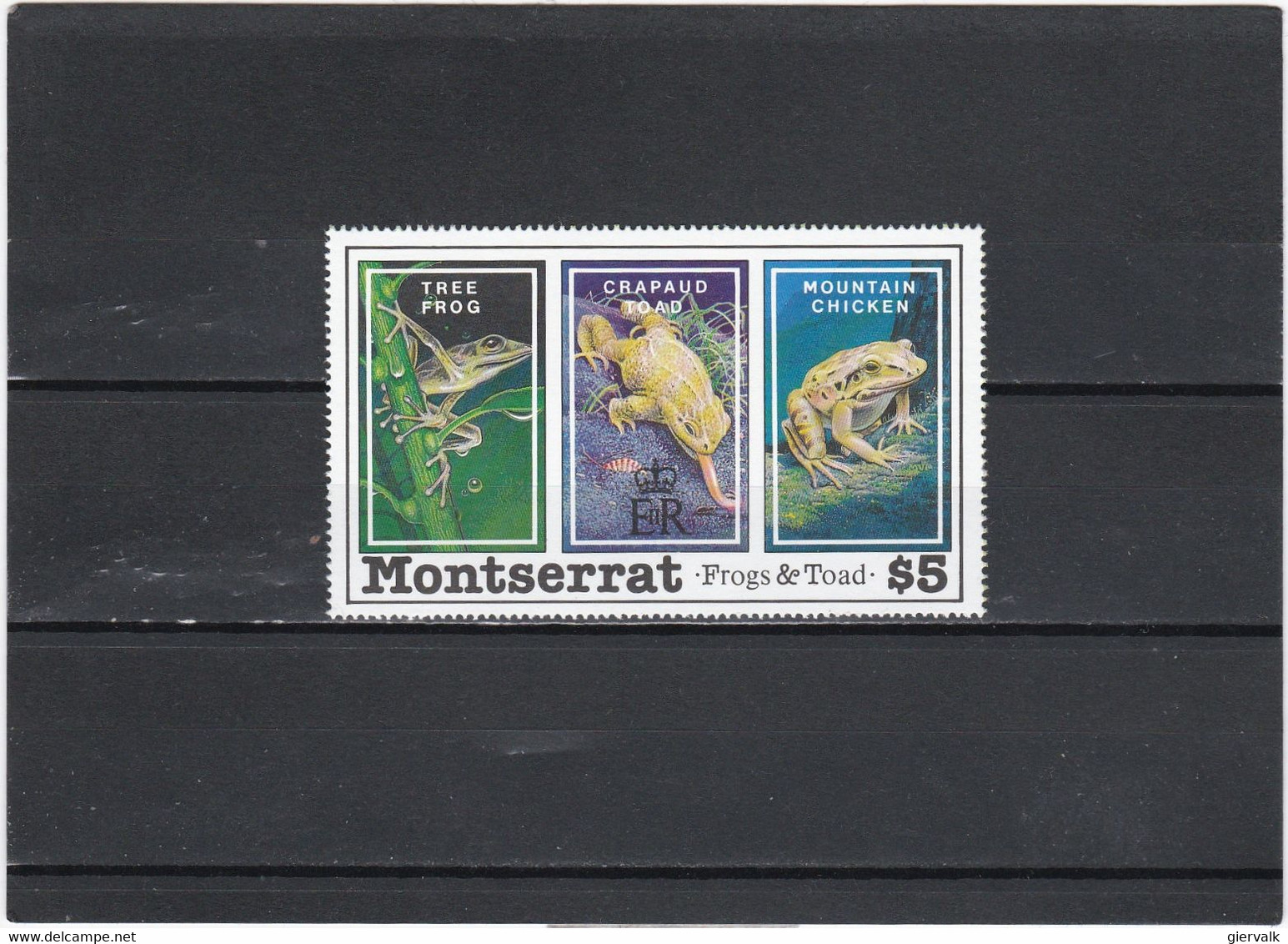 MONTSERRAT 1991 FROGS(from Sheet).MNH. - Rane