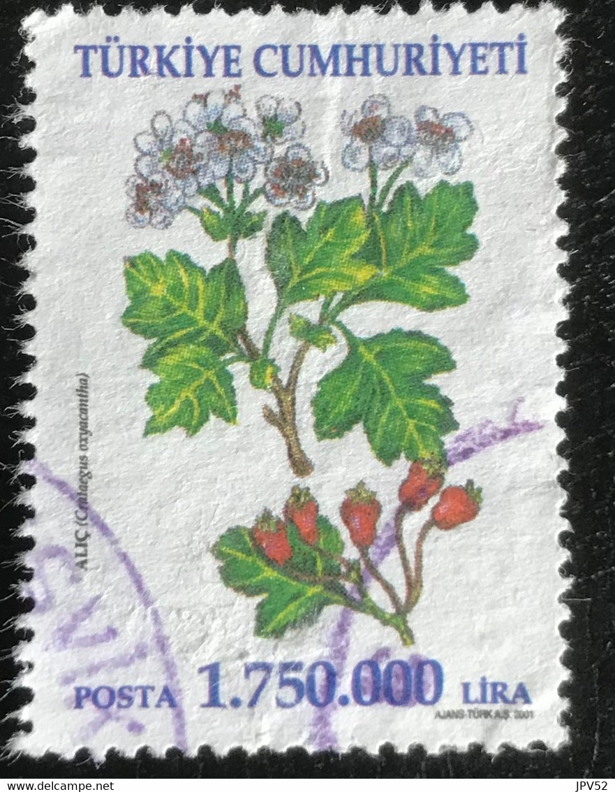 Türkiye Cumhuriyeti - 11/24 - (°)used - 2001 - Michel 3276 - Heilzame Bloemen - Used Stamps