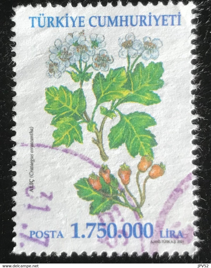 Türkiye Cumhuriyeti - 11/24 - (°)used - 2001 - Michel 3276 - Heilzame Bloemen - Usados