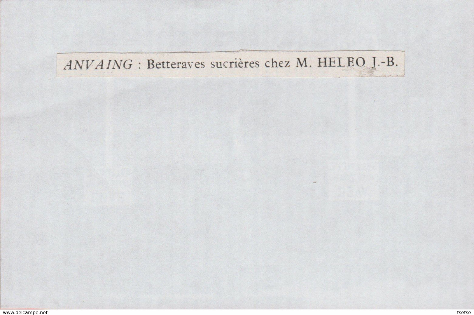 Anvaing - Bettraves Sucrières Chez Mr J-B. Heleo ( Voir Verso ) - Frasnes-lez-Anvaing