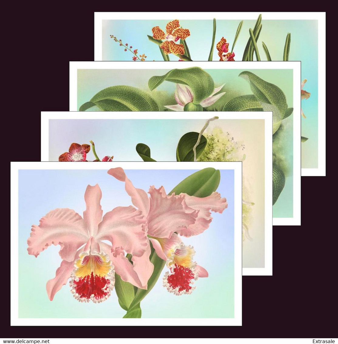 Liberia 2022 Stationery Cards MNH Orchids Set Of 4 Cards 100% Recycled Paper - Liberia