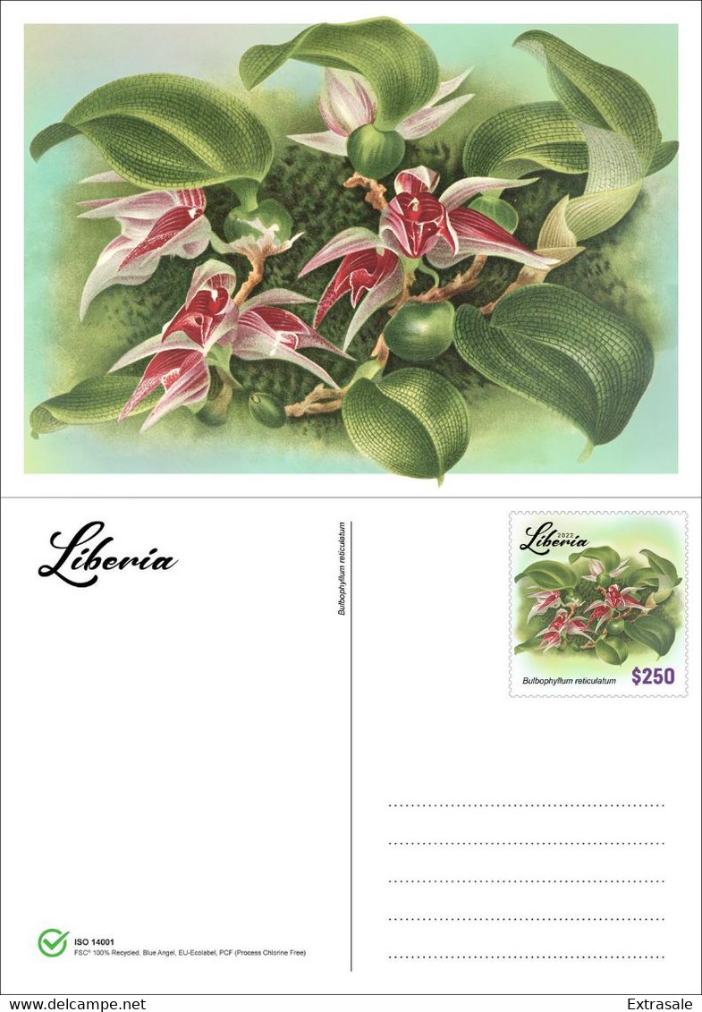 Liberia 2022 Stationery Cards MNH Orchids Set Of 4 Cards 100% Recycled Paper - Liberia