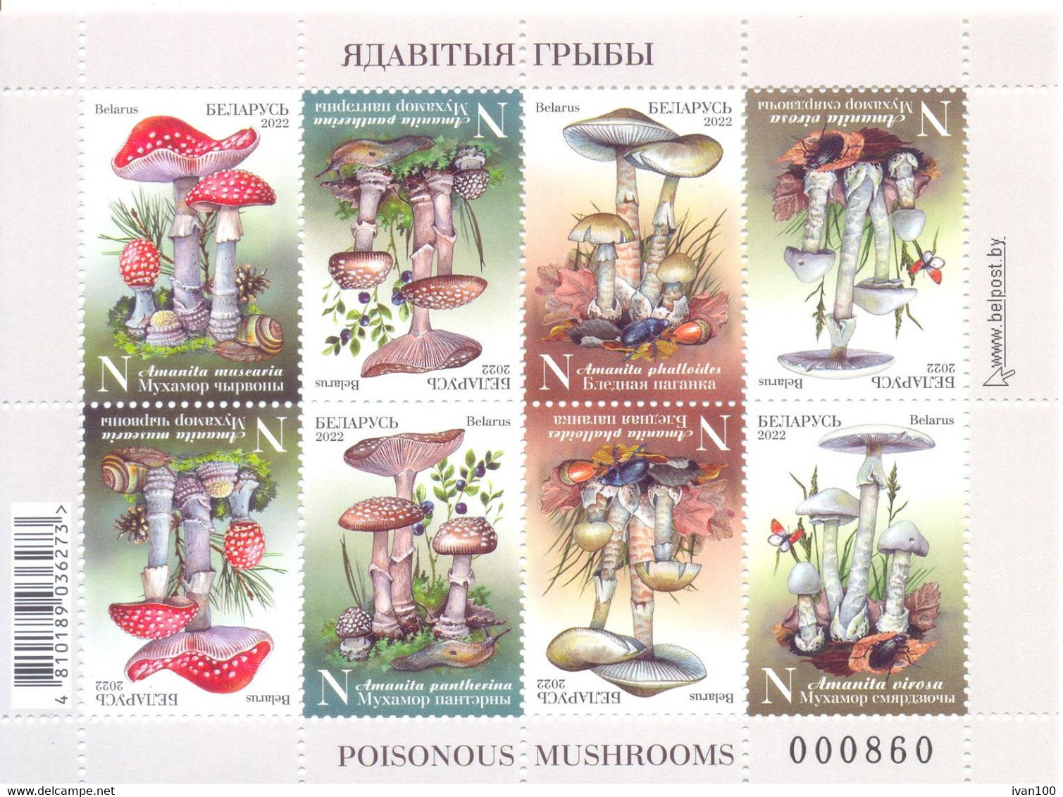 2022. Belarus, Poisonous Mushrooms, S/s,  Mint/** - Bielorrusia