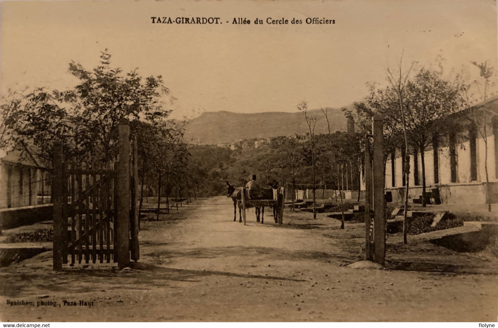 Taza - Girardot - Allée Du Cercle Des Officiers - Maroc Morocco - Otros & Sin Clasificación