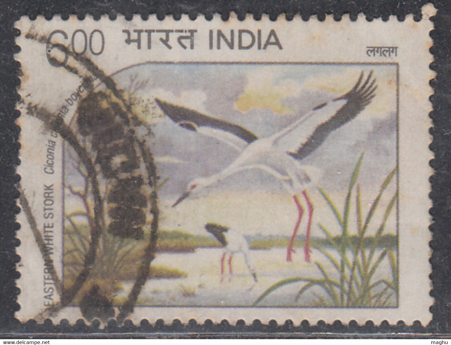 India Used 1994 Water Birds, Bird, - Oblitérés