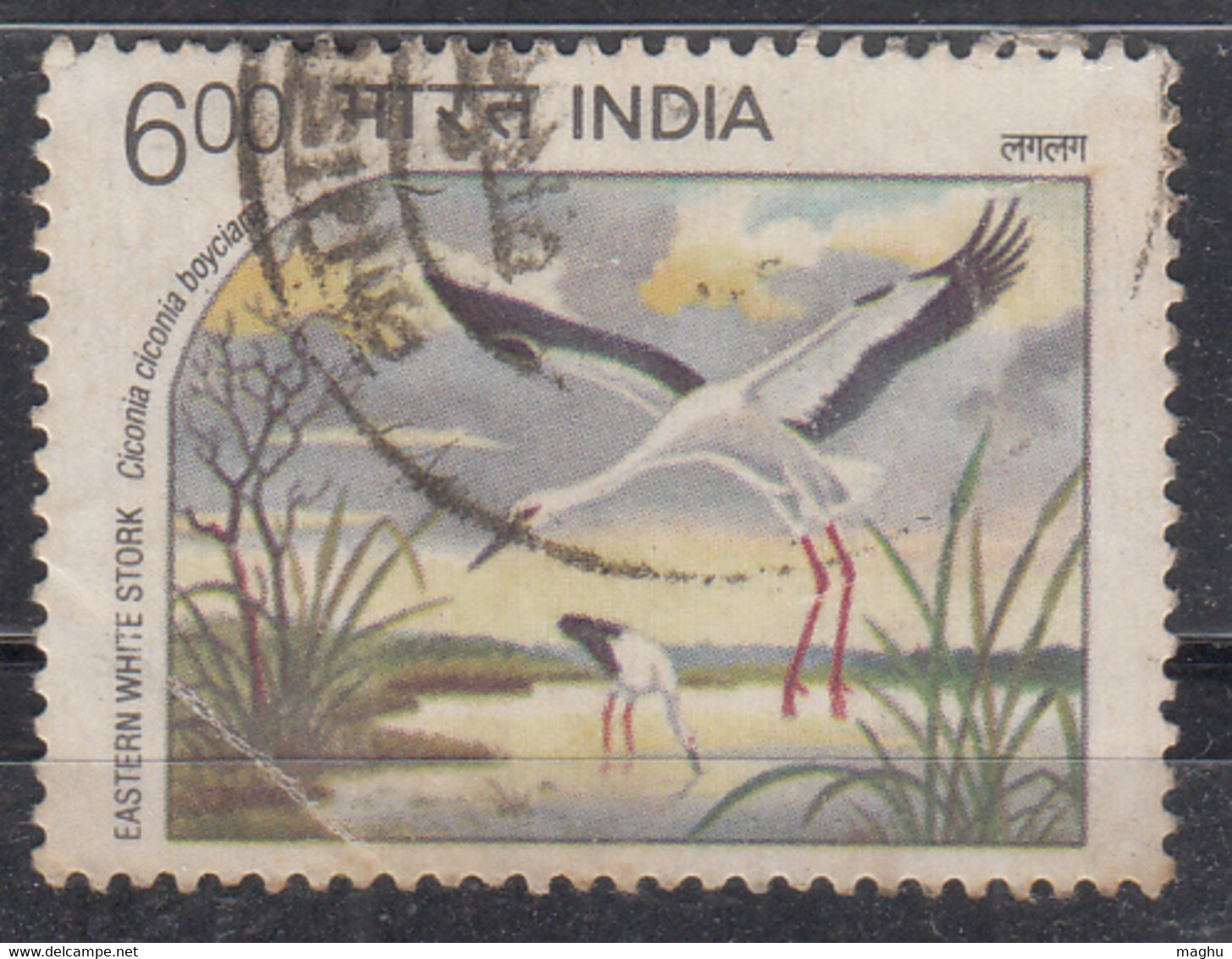 India Used 1994 Water Birds, Bird, - Oblitérés