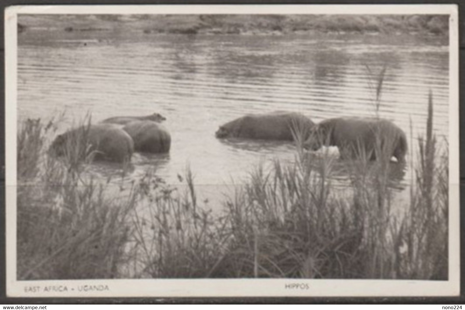 Carte P De 1958 ( East Africa-Uganda ) - Ouganda