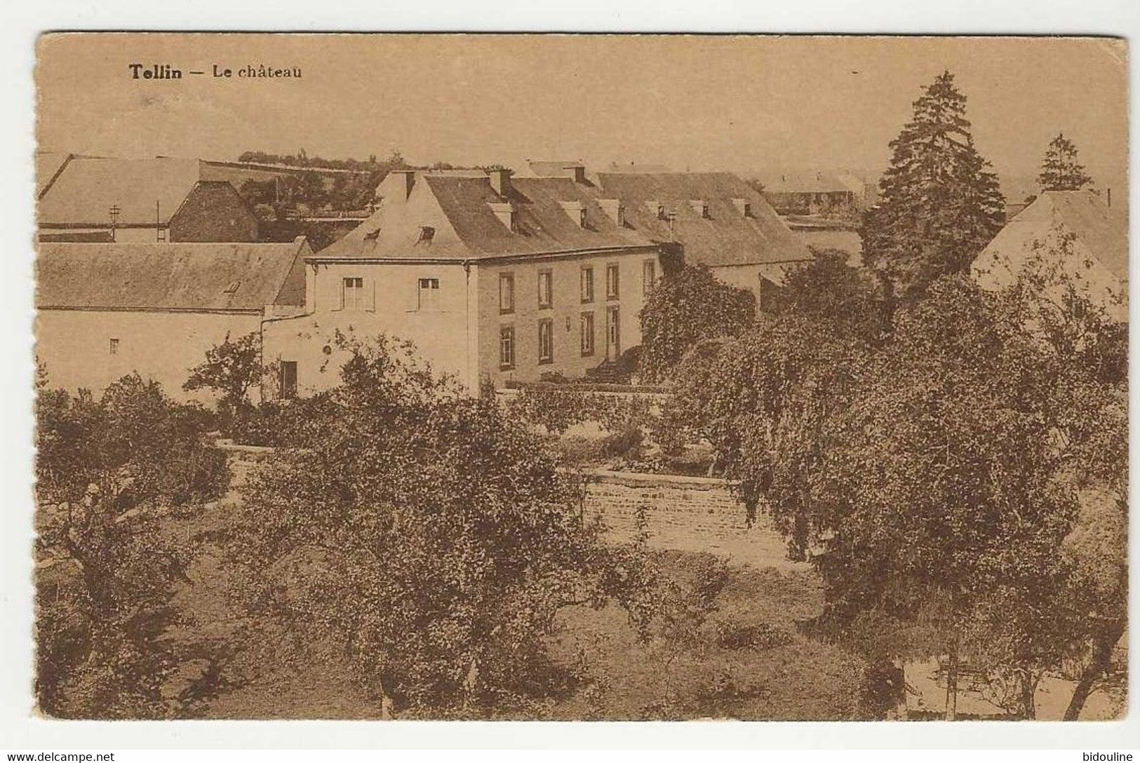 CPA-TELLIN "  Le Château " - Tellin