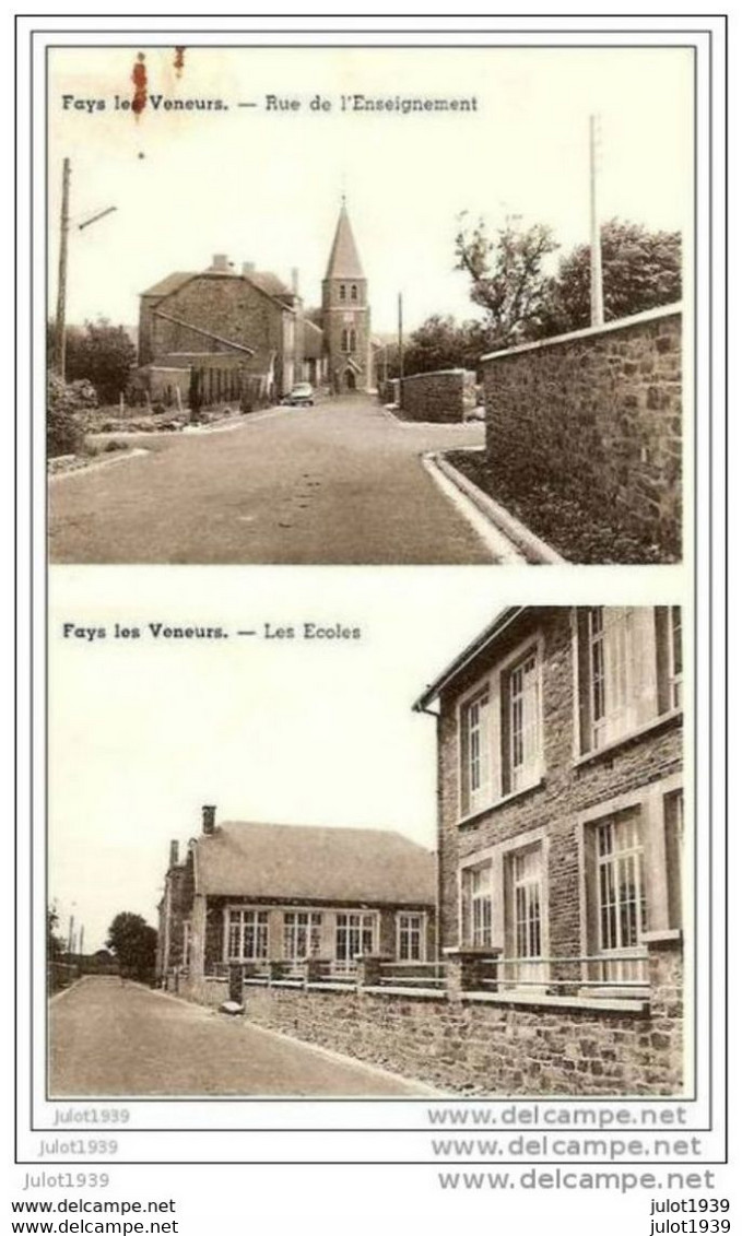 FAYS - LES - VENEURS ..--  Rue De L'Enseignement Et  Les Ecoles . - Paliseul