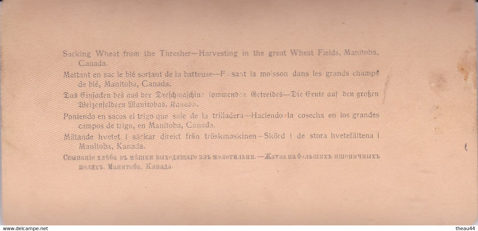 CANADA  -  MANITOBA  -   Cliché Albuminé Stéréo De La Mise Sac Du Blé Sortant De La Batteuse En 1900  - Agriculture - Altri & Non Classificati