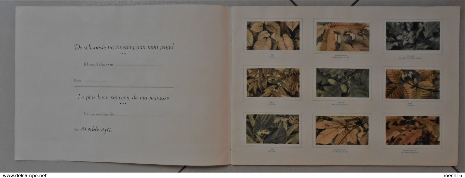 Album Chromos Complet - Veen Frères Anvers - Nature - Albumes & Catálogos