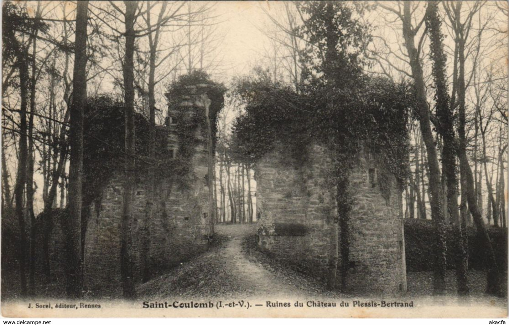 CPA SAINT-COULOMB Ruines Du Chateau Du Plessis-Bertrand (1250941) - Saint-Coulomb