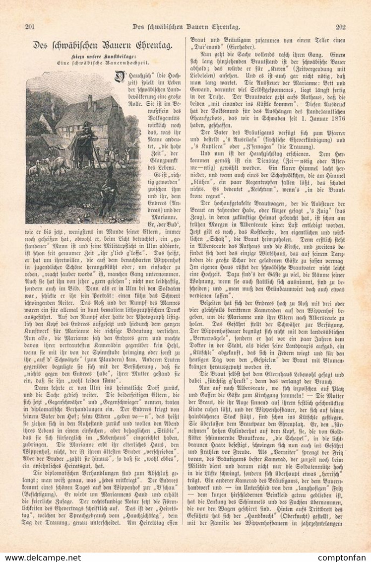 A102 1298 Bauernhochzeit Schwaben Hochzeit Kutsche Artikel / Bilder 1890 !! - Other & Unclassified