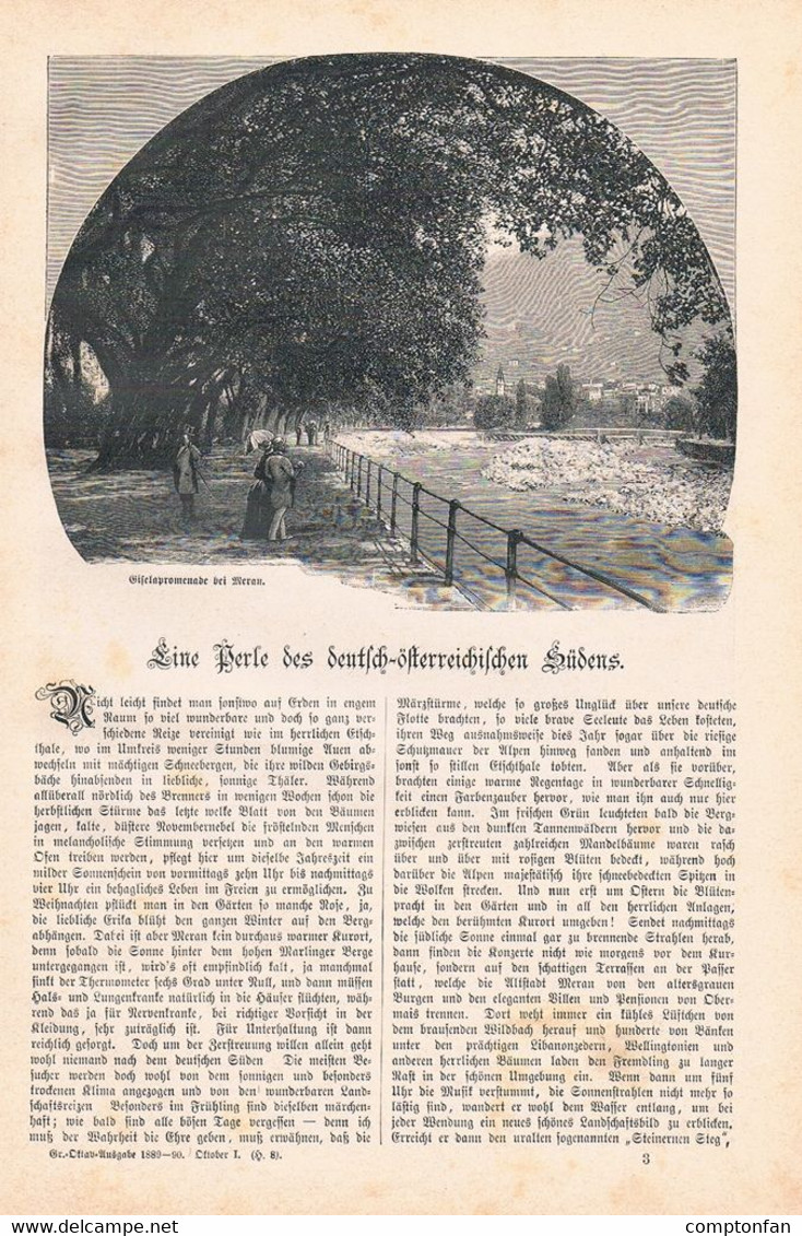 A102 1304 Lilly Willigerod Meran Schloss Tirol Rottenstein Artikel / Bilder 1890 !! - Autres & Non Classés