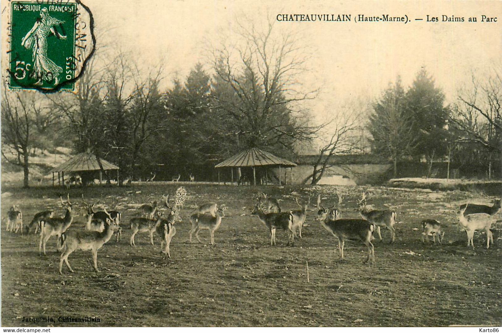 Chateauvillain * Les Daims Au Parc * Cerfs - Chateauvillain