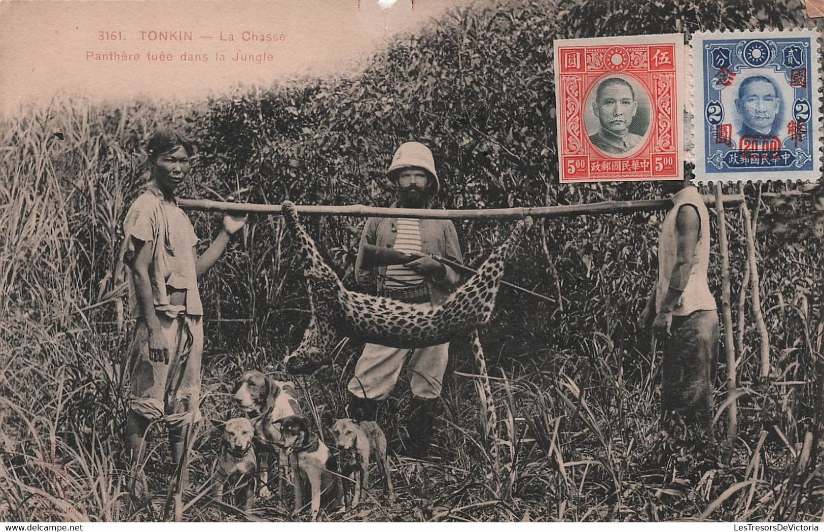 CPA Viet Nam - Tonkin - La Chasse - Panthère Tuée Dans La Jungle - Carte Un Peu Abimée Au Centre En Haut Voir Scann - Viêt-Nam