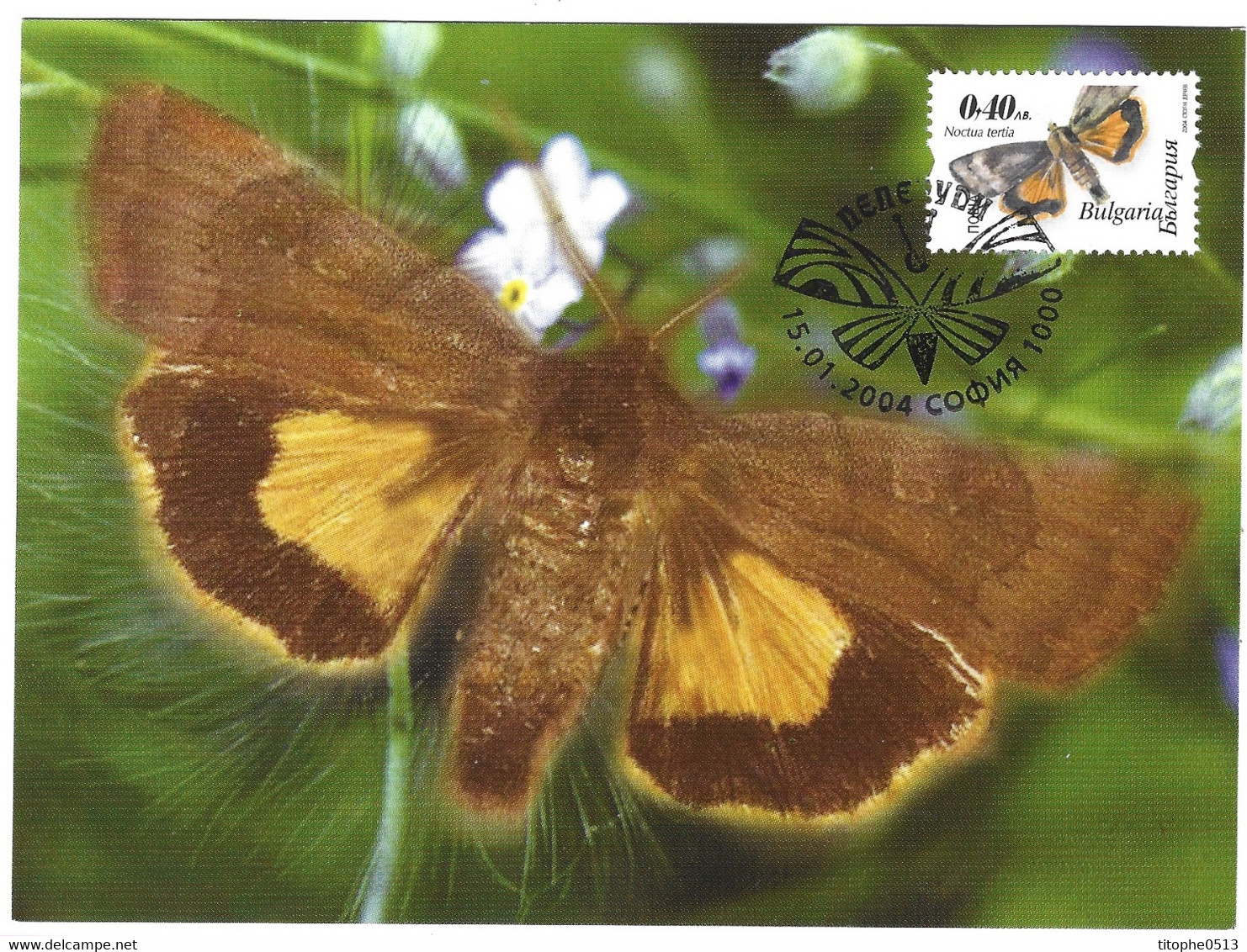 BULGARIE. N°4004-7 De 2004 Sur 4 Cartes Maximum. Papillons. - Butterflies