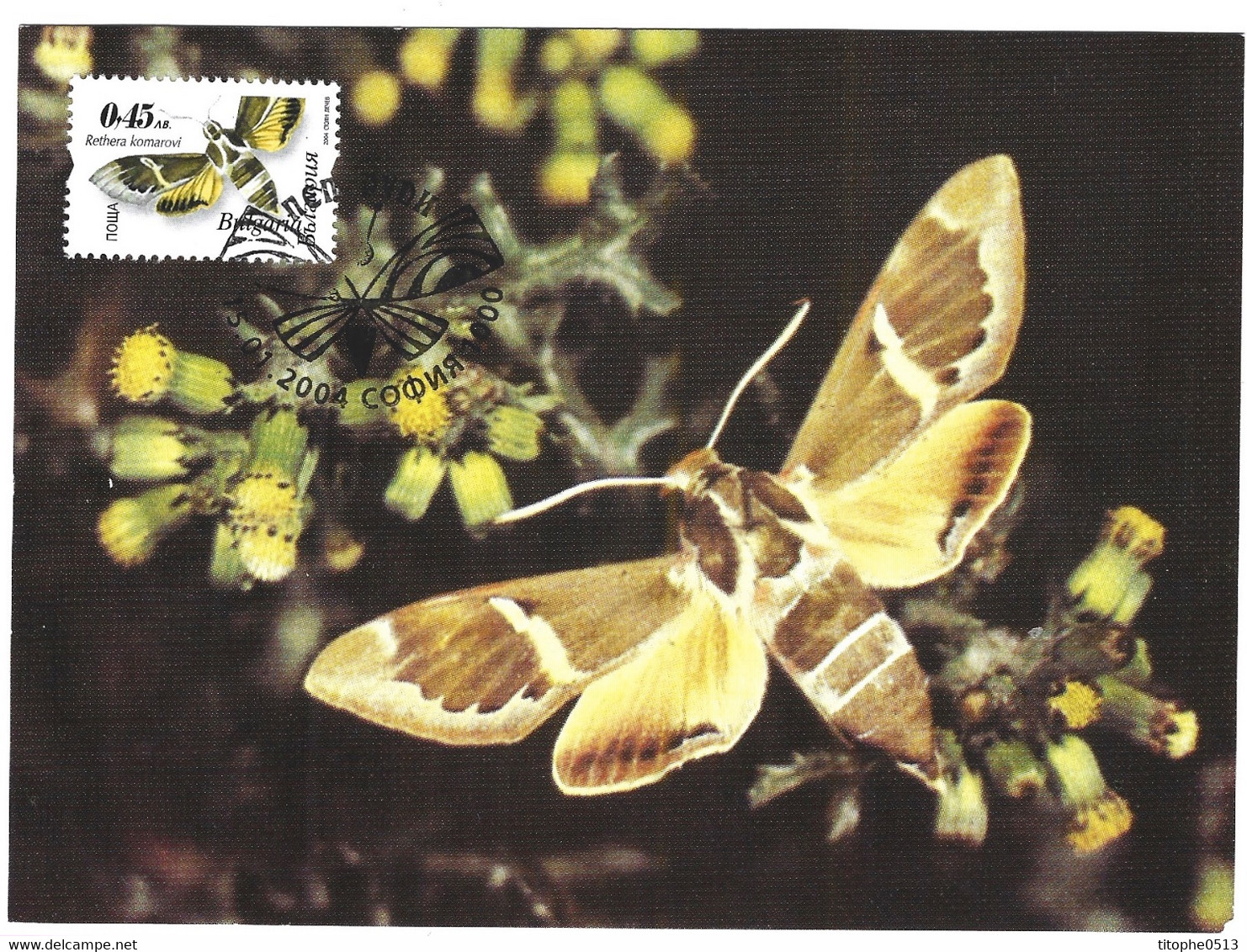 BULGARIE. N°4004-7 De 2004 Sur 4 Cartes Maximum. Papillons. - Butterflies