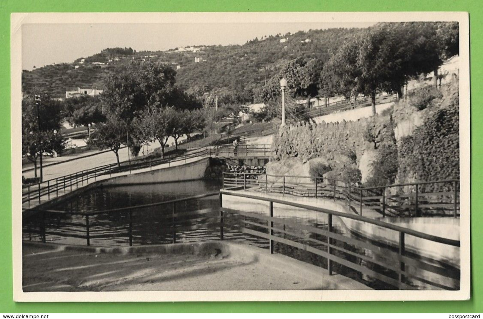 Portalegre - Um Trecho Da Corredoura - Portugal (Fotográfico) - Portalegre