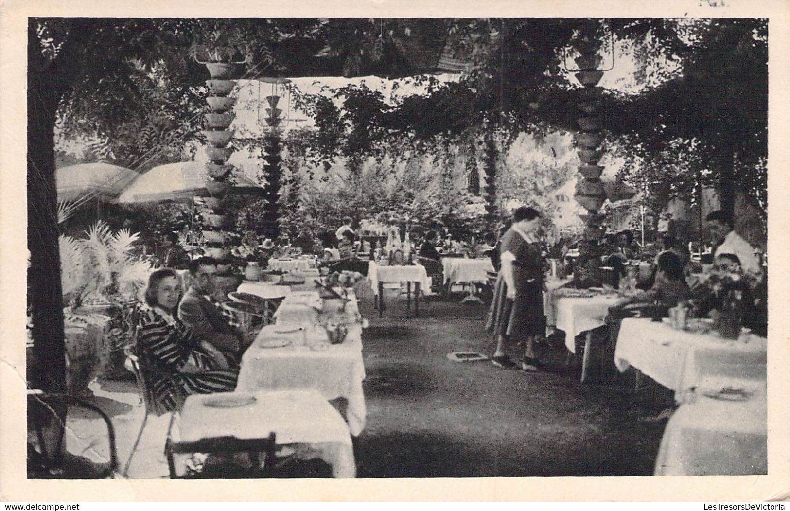 CPA - RESTAURANT Chez Nenette - 6 Rue De Verdun - MONTPELLIER Hérault - Le Jardin D'été - Ristoranti