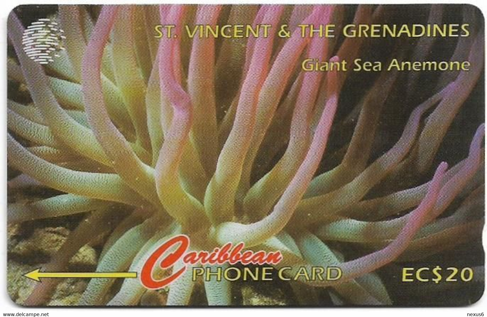 St. Vincent - C&W (GPT) - Giant Sea Anemone - 52CSVG - 1996, 9.900ex, Used - Saint-Vincent-et-les-Grenadines
