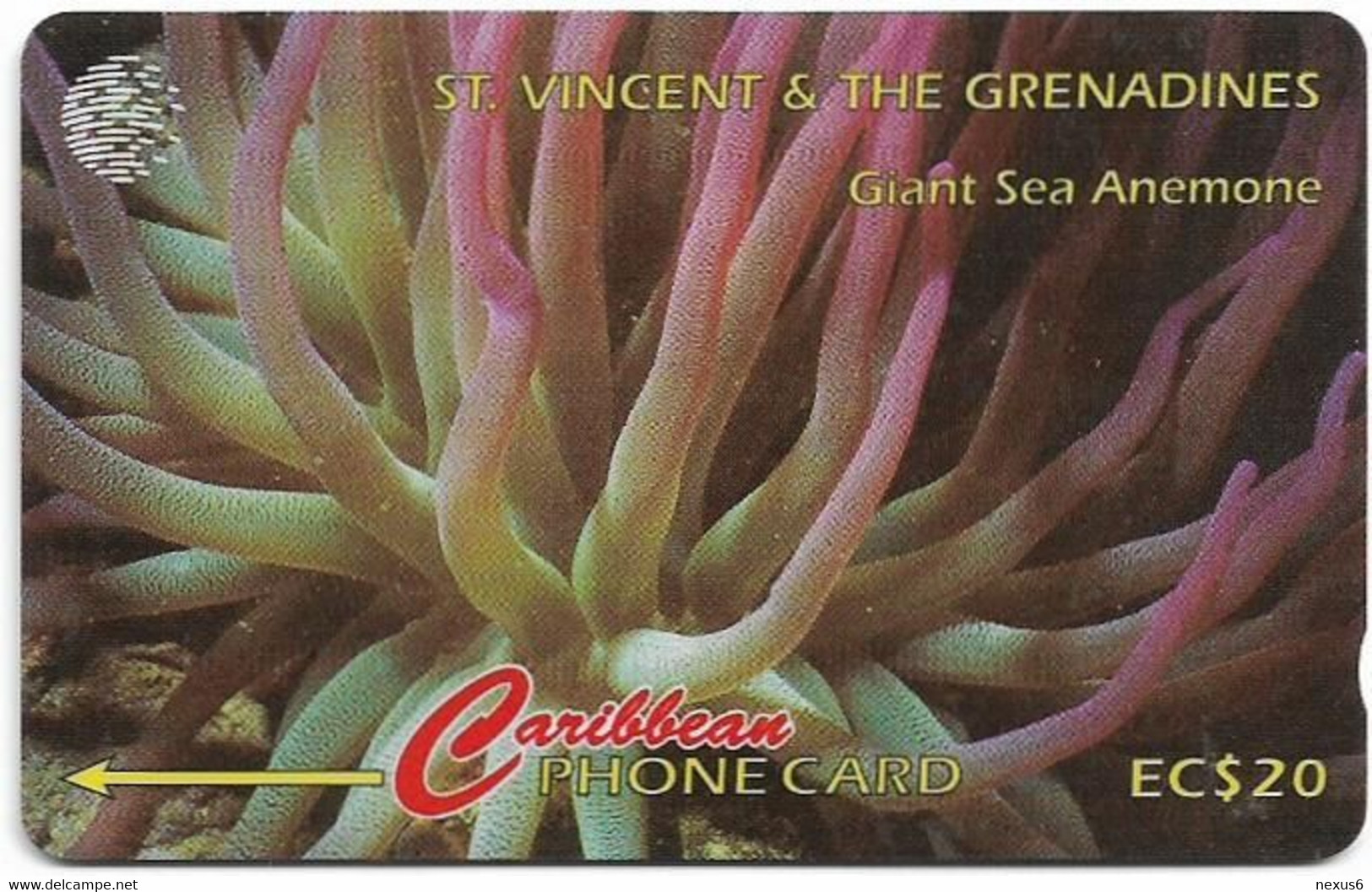 St. Vincent - C&W (GPT) - Giant Sea Anemone - 101CSVB - 1996, 10.000ex, Used - Saint-Vincent-et-les-Grenadines