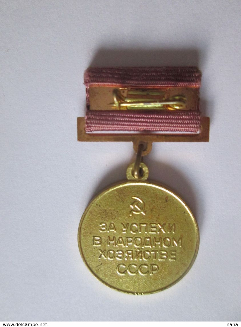 USSR/Russia Medal For Success In The National Economy Of The USSR 70,length=43 Mm,diam=23 Mm - Russia