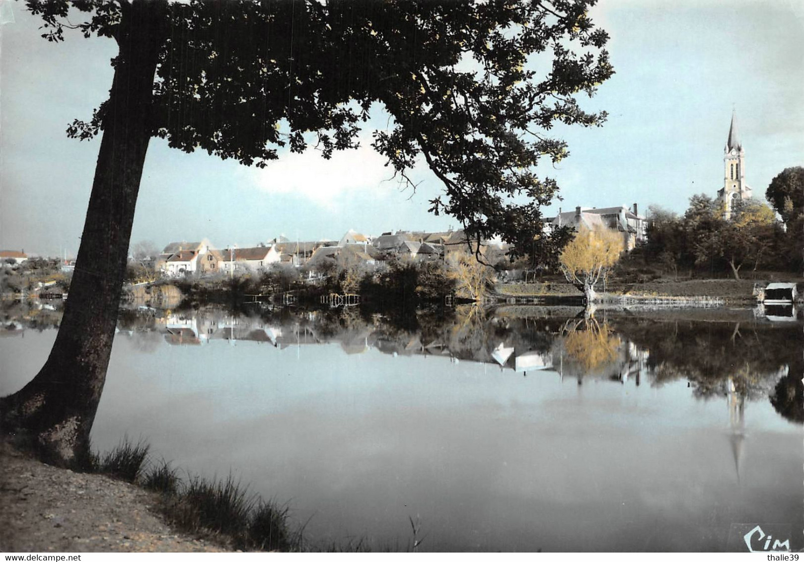 Ouzouer Sur Loire Dampierre En Burly étang - Ouzouer Sur Loire