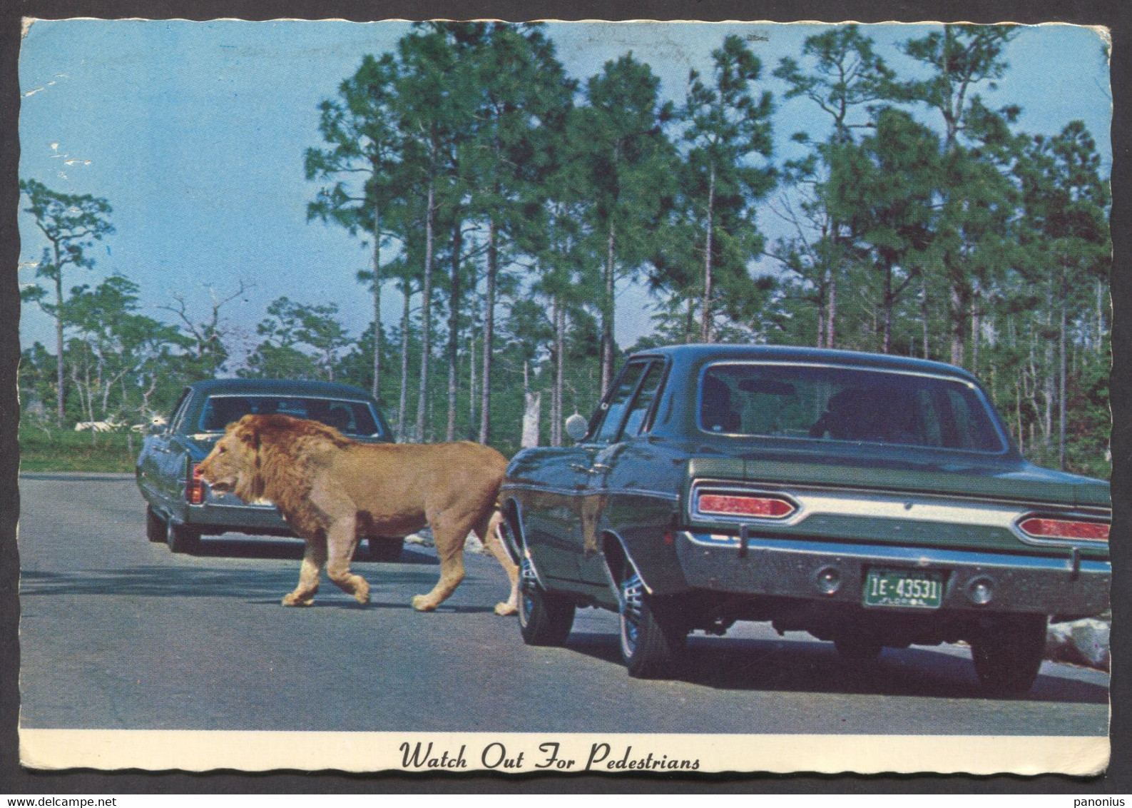 Lion Country Safari Florida - Palm Beach