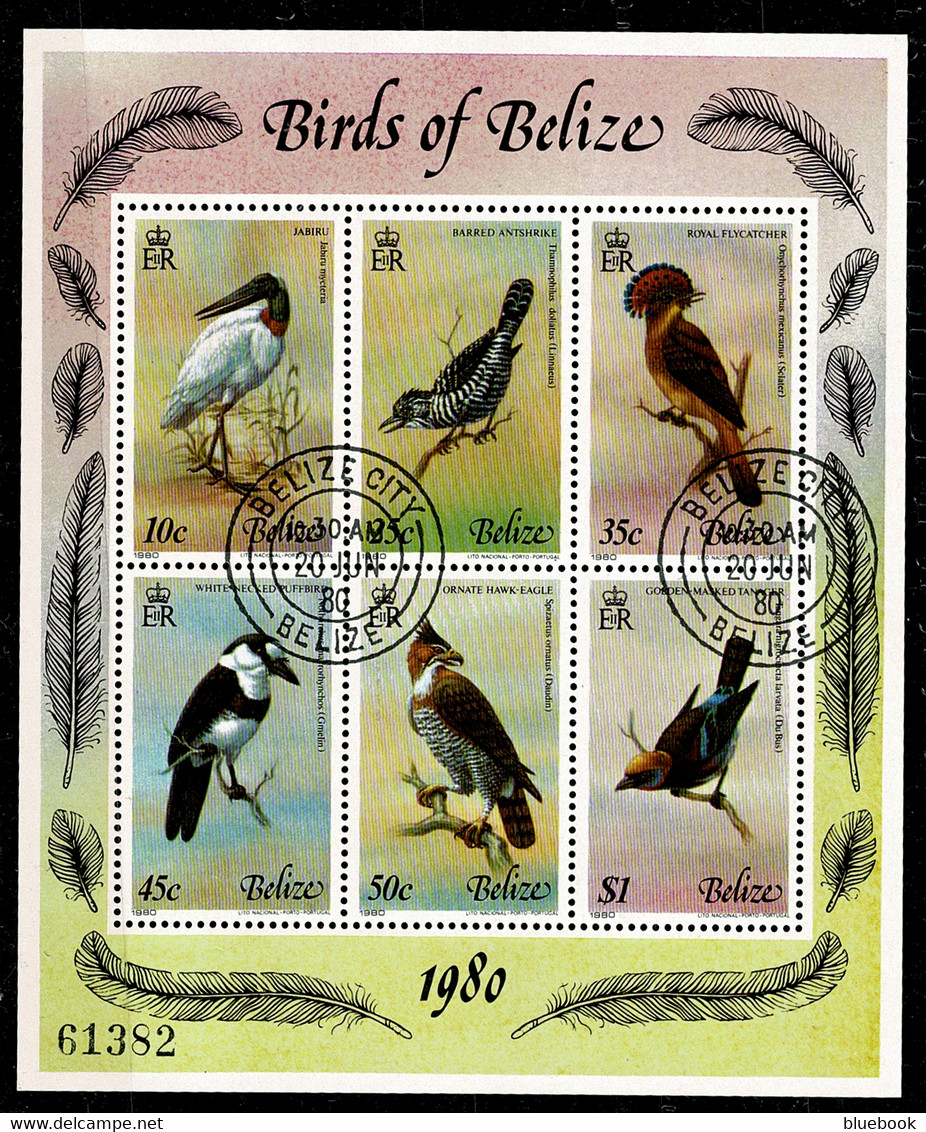 Ref 1563 -  Birds Of Belize 1980 Miniaure Sheet - MS567 - Fine Used - Belize (1973-...)