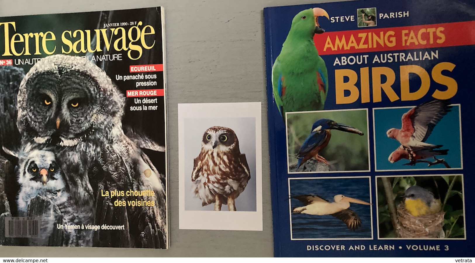 Oiseaux (Aigle-Albatros-Chouette-Australie) : 4 Revues (Terre Sauvage-Amazing Facts) (Amazing Facts About Australian Bir - Fauna