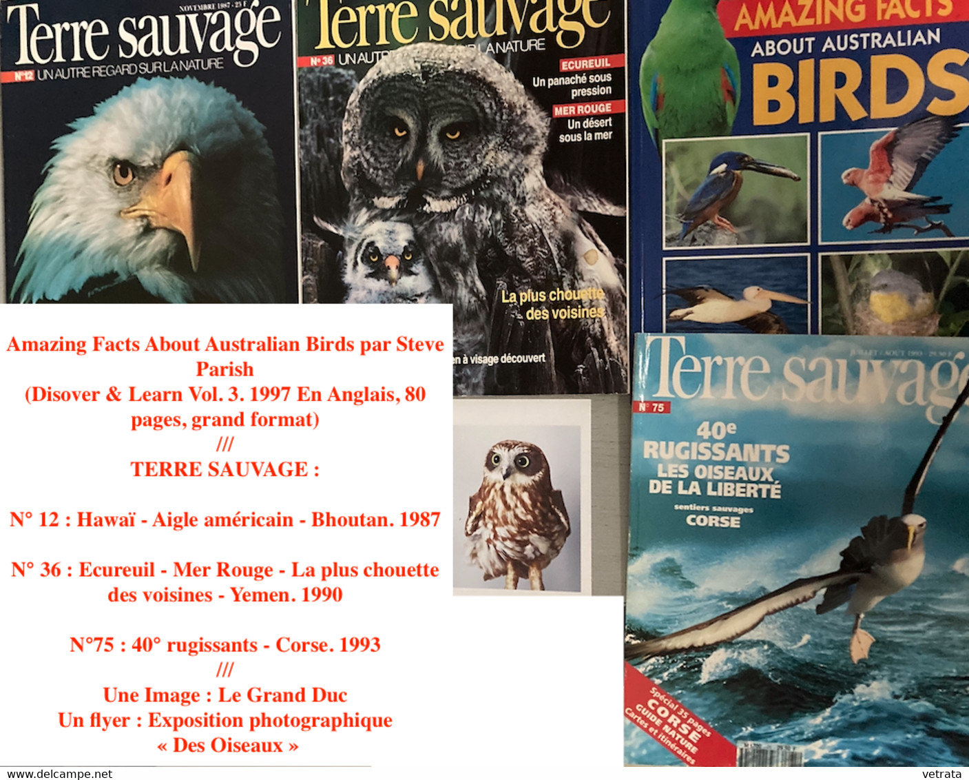 Oiseaux (Aigle-Albatros-Chouette-Australie) : 4 Revues (Terre Sauvage-Amazing Facts) (Amazing Facts About Australian Bir - Fauna