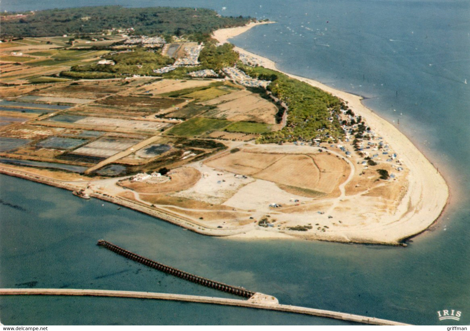 ILE DE NOIRMOUTIER VUE DU CIEL L'ENTREE DU PORT DE NOIRMOUTIER ET LA POINTE DES SABLEAUX 1972 CPSM GM TBE - Noirmoutier