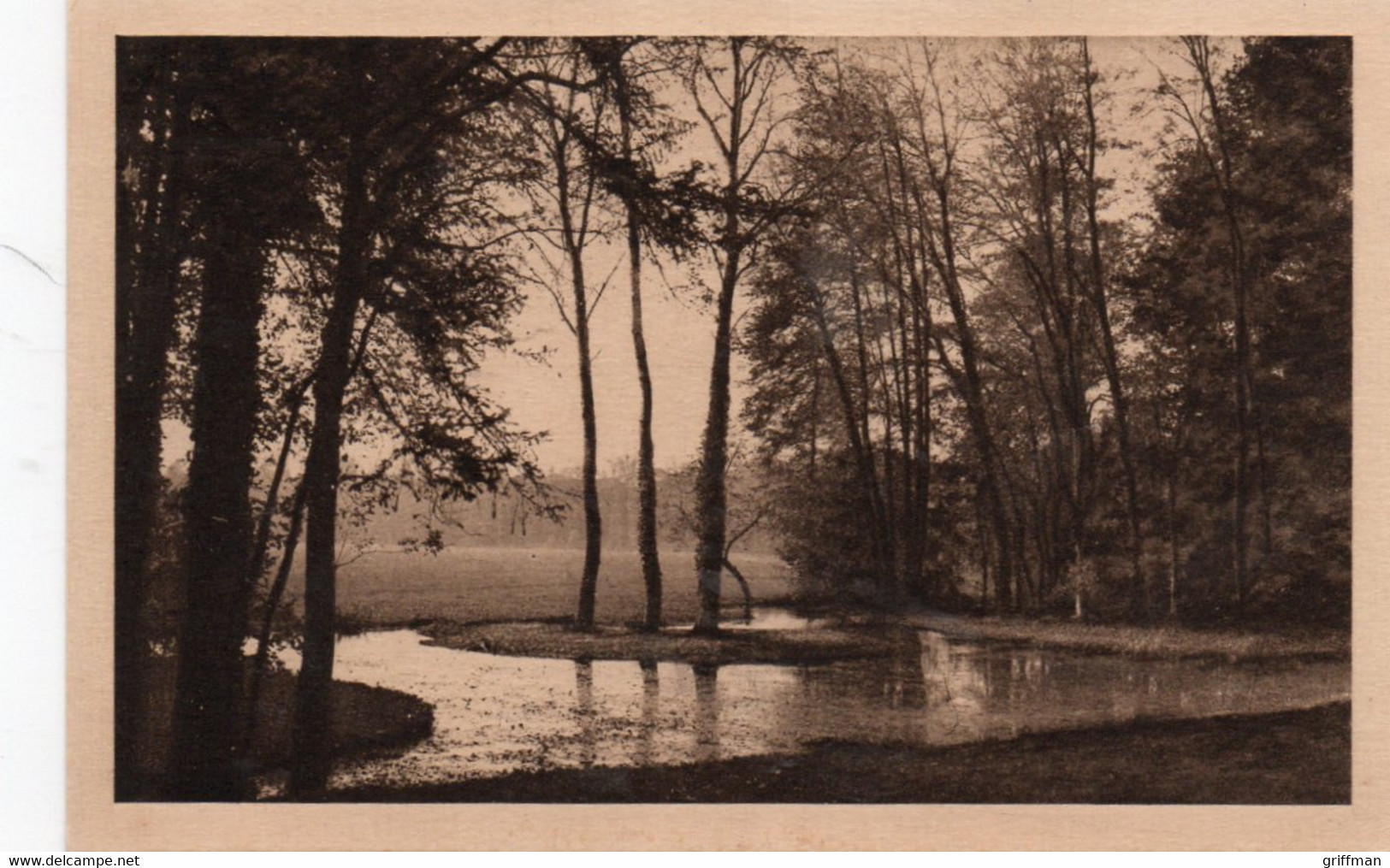 VOUILLE LA BATAILLE L'AUXANCE ET LA PRAIRIE DU CHATEAU DE LA CHAPELLE TBE - Vouille