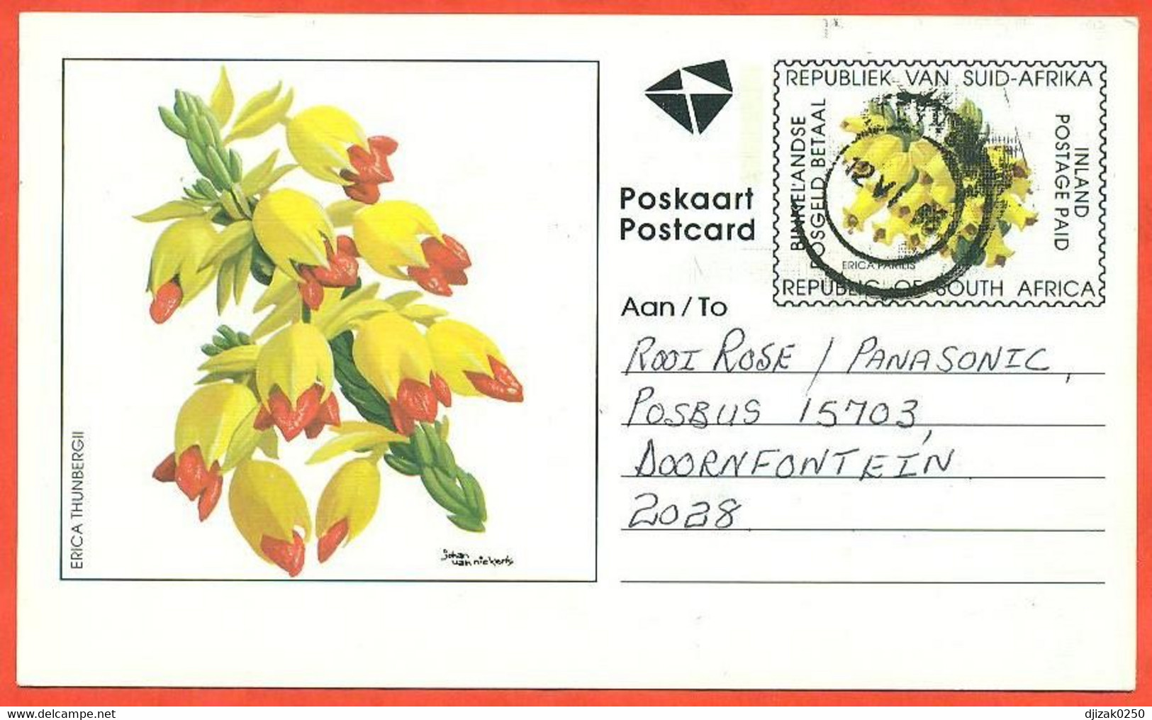 South Africa 1996. Postcard  Passed Through The Mail. - Cartas & Documentos