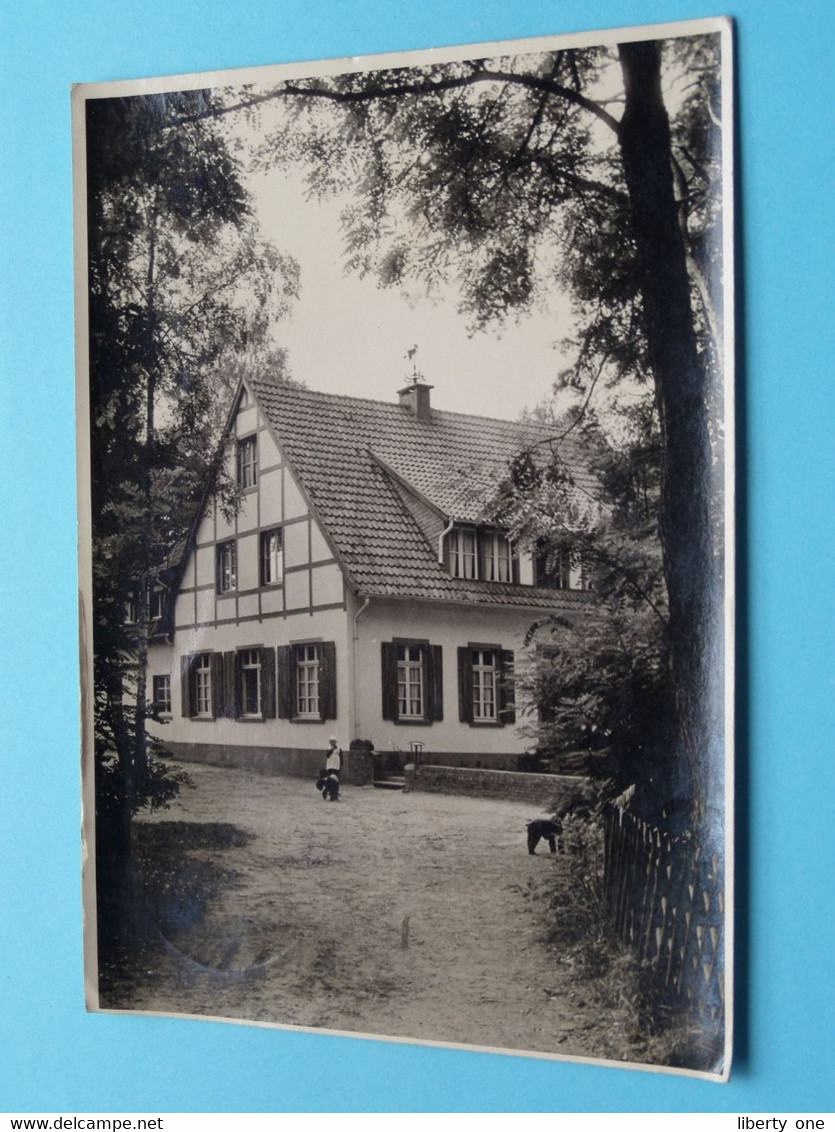 Naturfreundehaus GREVEN ( Edit. ? ) Anno 1965 ( Zie / Voir Scans ) ! - Greven