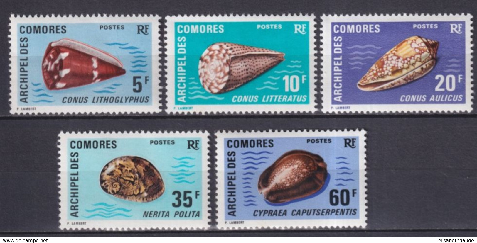 COMORES - 1971 - SERIE COMPLETE COQUILLAGES - YVERT N°572/76 ** MNH  - COTE = 30 EUR. - Unused Stamps