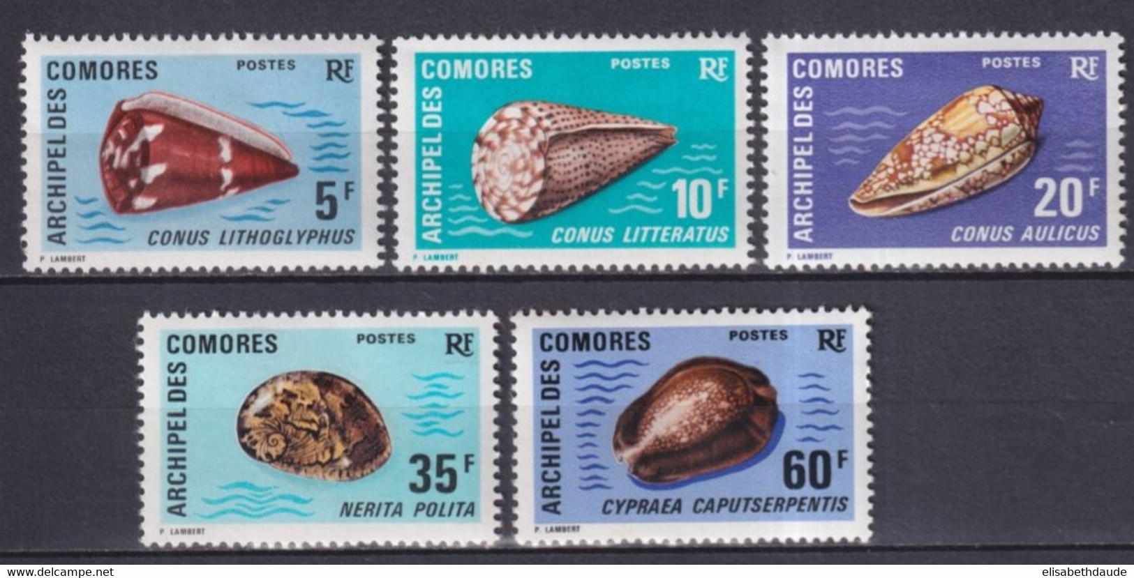 COMORES - 1971 - SERIE COMPLETE COQUILLAGES - YVERT N°572/76 ** MNH  - COTE = 30 EUR. - Neufs