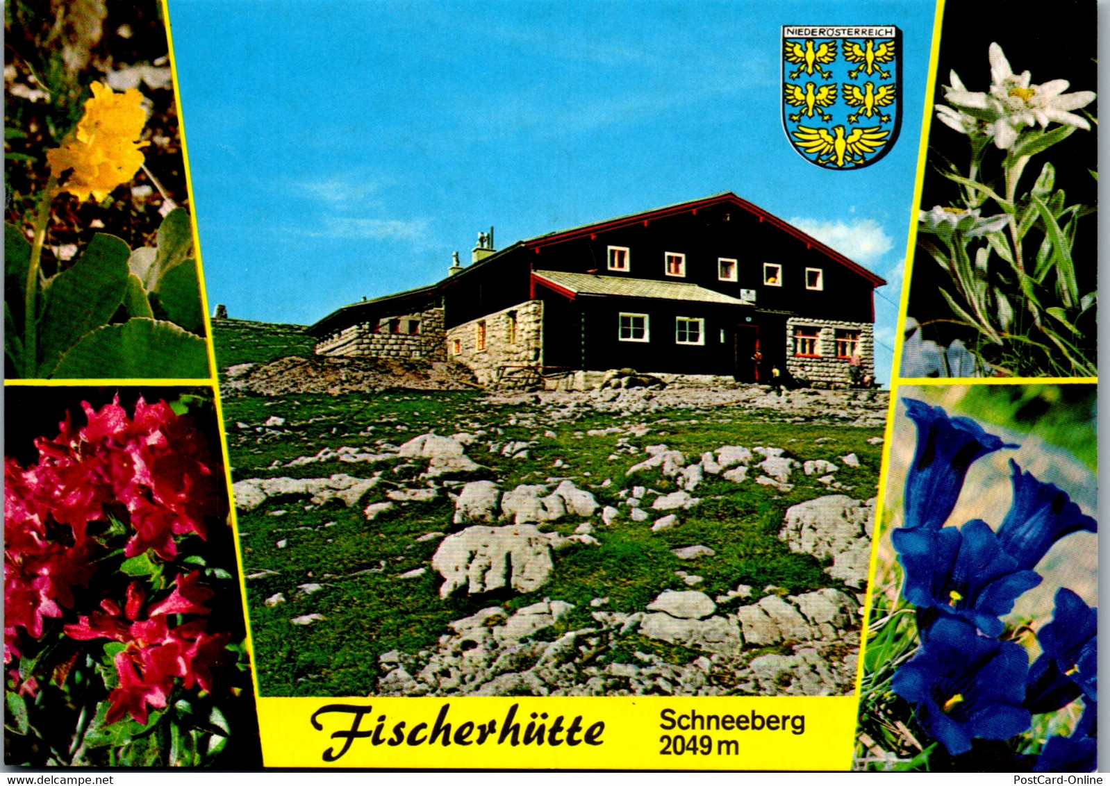 37162 - Niederösterreich - Puchberg Am Schneeberg , Fischerhütte , Mehrbildkarte - Nicht Gelaufen - Schneeberggebiet