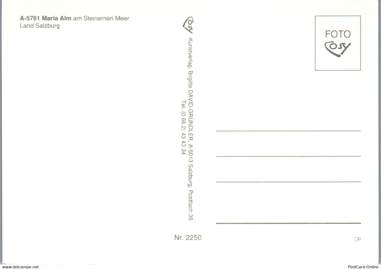 37250 - Salzburg - Maria Alm Am Steinernen Meer , Mehrbildkarte - Nicht Gelaufen - Maria Alm