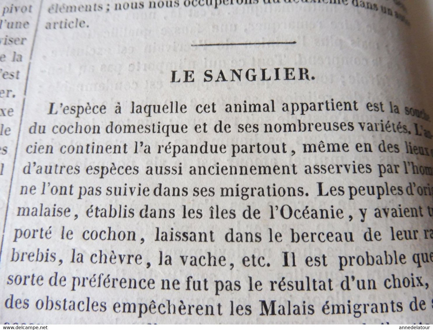 1839 MP  Hospitalité en Turquie, Les utopistes célèbres, LE SANGLIER, Journaux en vers, Habitations en New Zealand, Etc