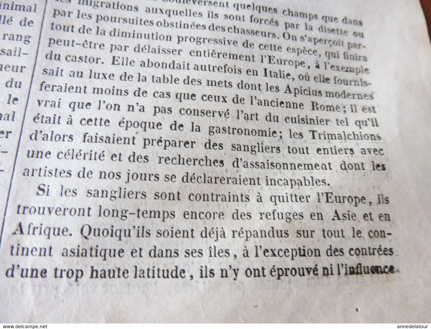 1839 MP  Hospitalité en Turquie, Les utopistes célèbres, LE SANGLIER, Journaux en vers, Habitations en New Zealand, Etc