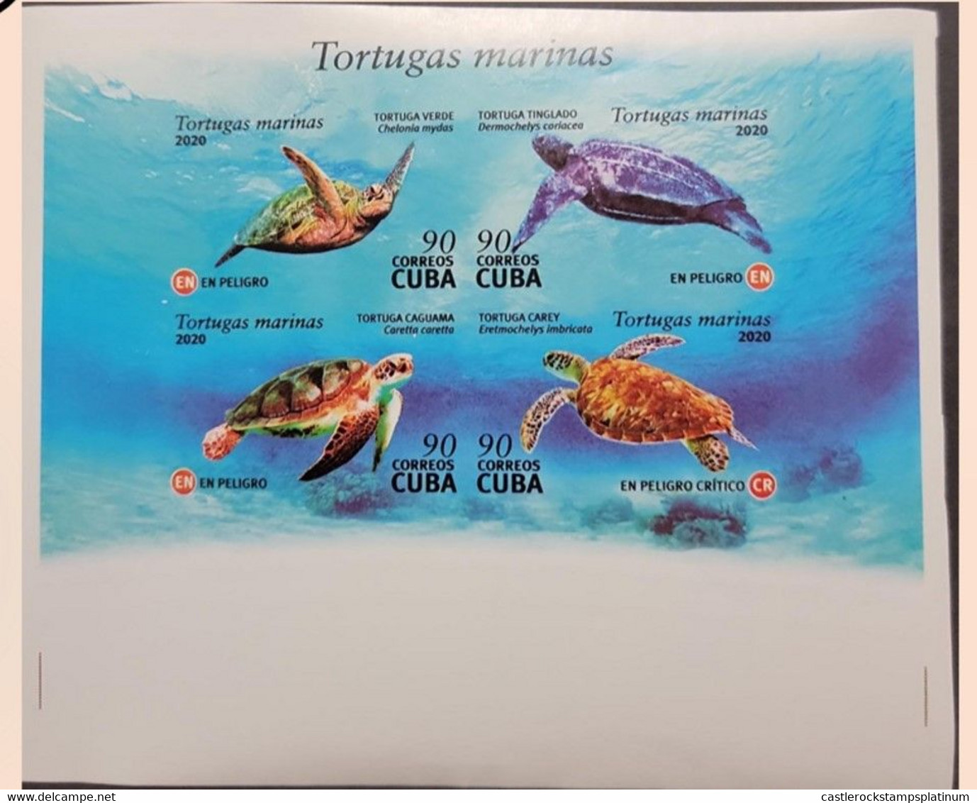 O) 2020 CUBA, IMPERFORATE, SEA TURTLES IN DANGER OF EXTINCTION - EN, CHELONIA MYDAS, DERMOCHELYS CORIACEA, CARETTA, ERET - Geschnittene, Druckproben Und Abarten