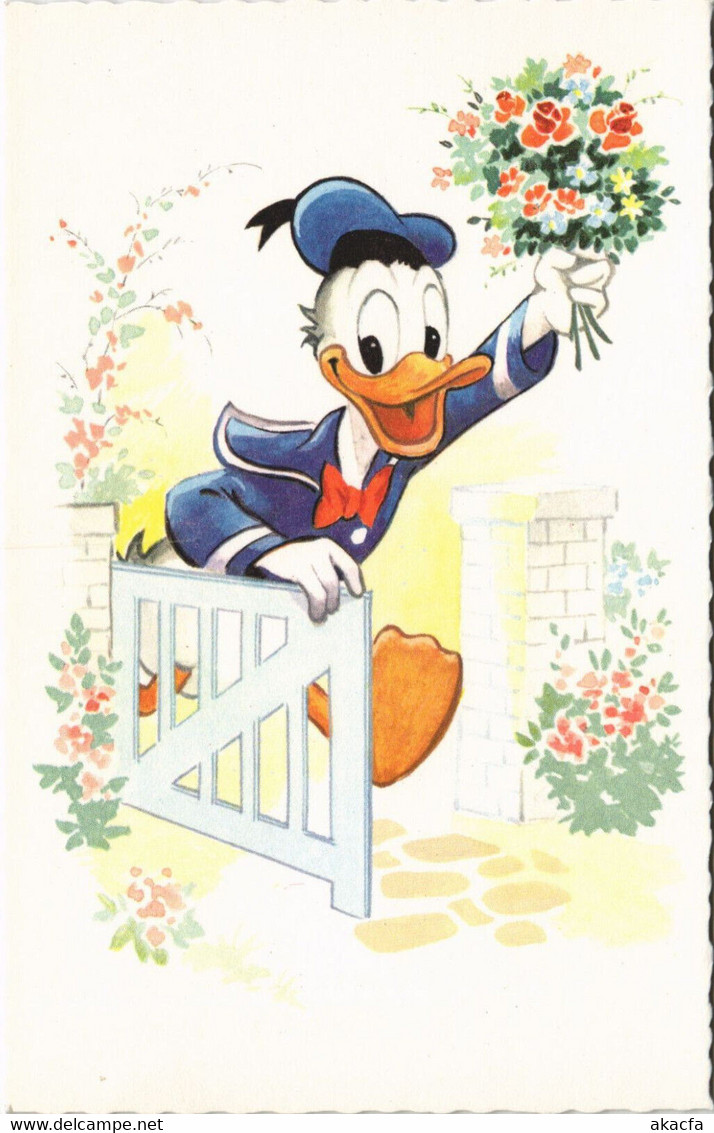 PC DISNEY, DONALD DUCK WITH FLOWERS, Vintage Postcard (b43807) - Disneyland