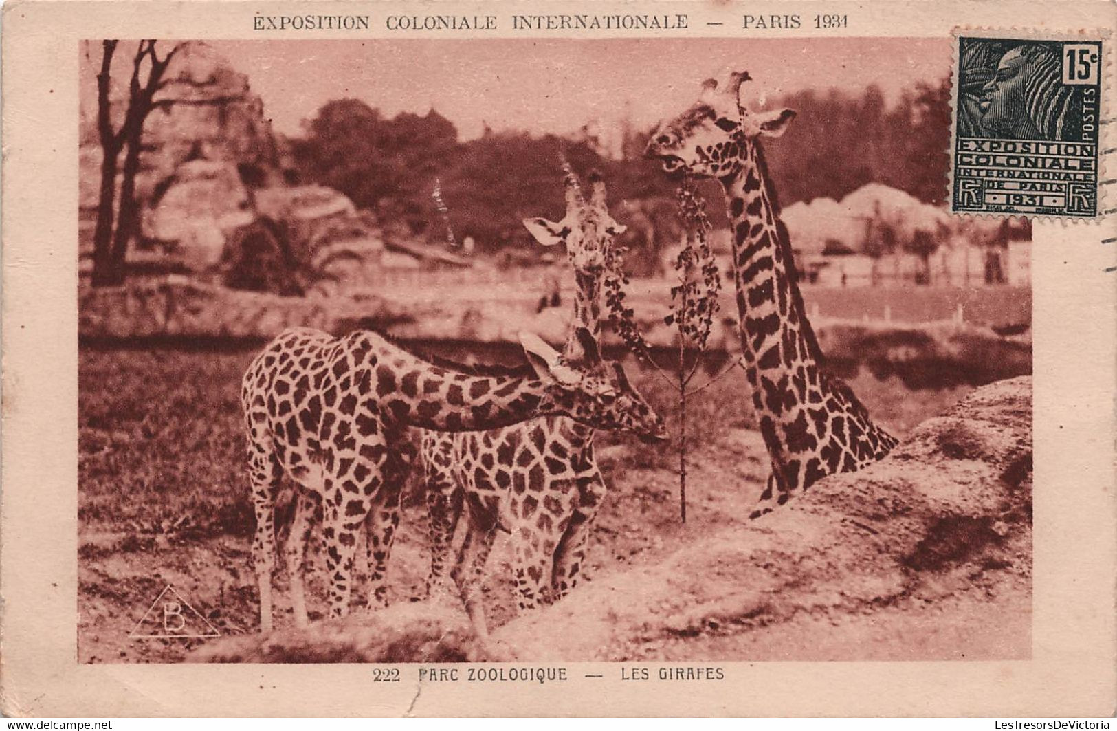 CPA - Paris Exposition Coloniale Internationale 1931 Parc Zoologique Les Girafes - Zoo - Giraffe