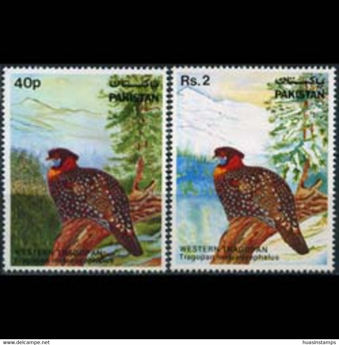 PAKISTAN 1981 - Scott# 559-60 Birds-Tragopan Set Of 2 MNH - Pakistan