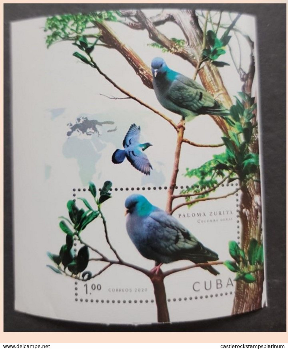 O) 2020 CUBA,  IMPERFORATED, BIRD, PIGEON - DOVE,  COLUMBA OENAS, CONSERVATION STATUS OF LESS CONCERN  LC, MNH - Imperforates, Proofs & Errors