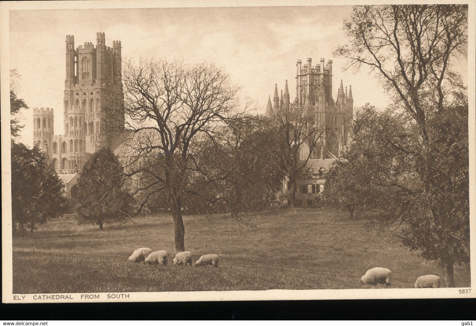 Angleterre --  Ely --- Cathedral From South - Ely