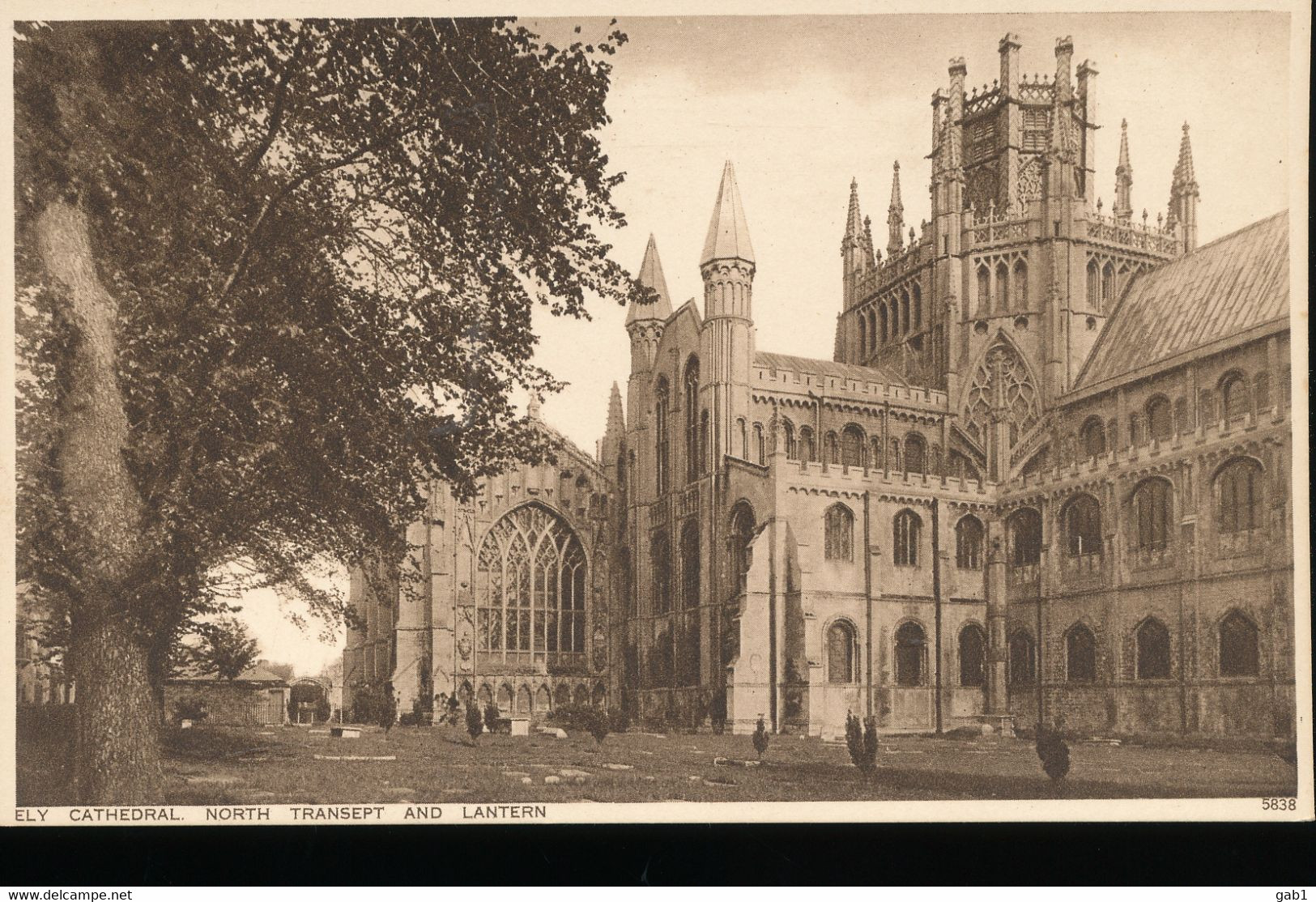 Angleterre --  Ely --- Cathedral North Transept And Lantern - Ely